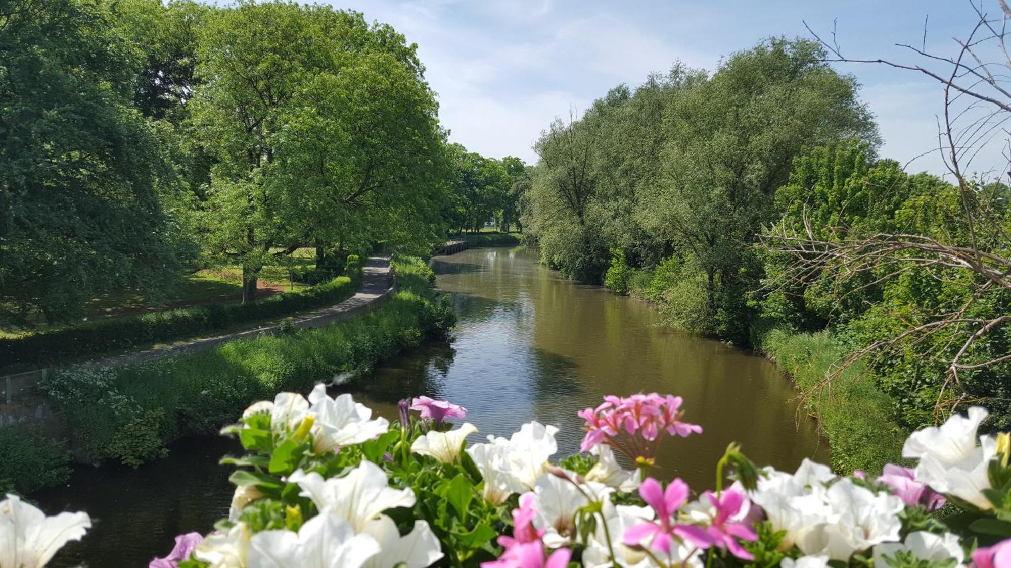 B&B Krieken De Jour Ninove Bagian luar foto